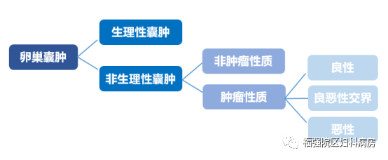体检发现卵巢囊肿,怕不怕?